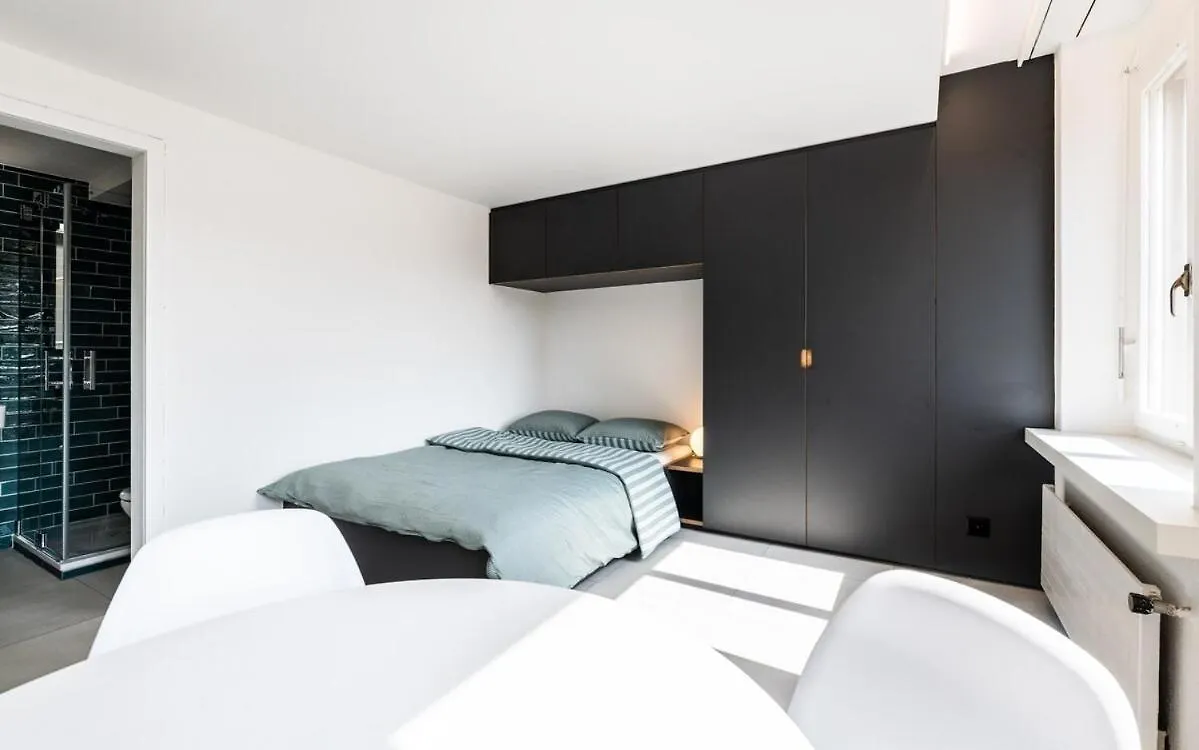 Modern 1 Room Apartment In District 4 Zürich